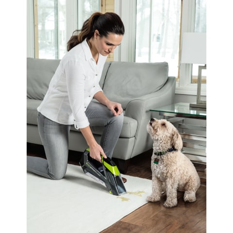 lowes bissell pet stain eraser
