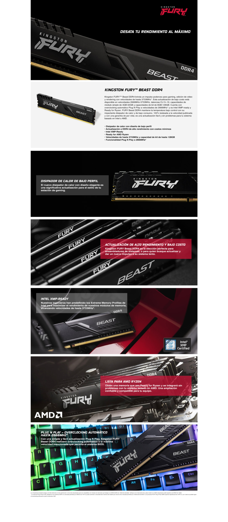 Kingston Fury Beast 8GB 3200Mhz - INFOGRAPHICS