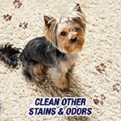 Resolve 22 Oz. Pet High Traffic Carpet Cleaner Foam - Brownsboro Hardware &  Paint