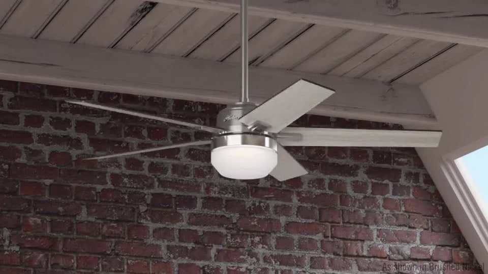 Hunter Apex Led Ceiling Fan Shelly Lighting