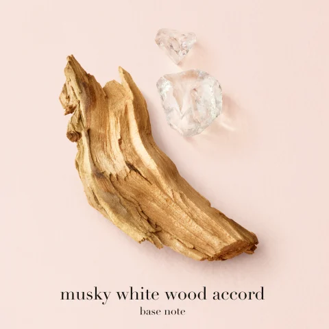 BASE NOTE: MUSKY WHITE WOOD ACCORD