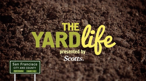 thumbnail video image 2 of Scotts Snap 5 lb Capacity Push Lawn & Garden Spreader with Automatic Flow Rate Control, 2 of 3
