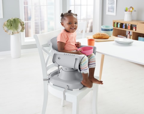 Fisher price space saver high chair rosy windmill hot sale