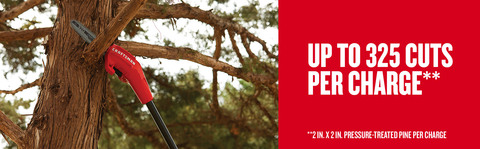 20-volt 8-in Cordless Electric Pole Saw 