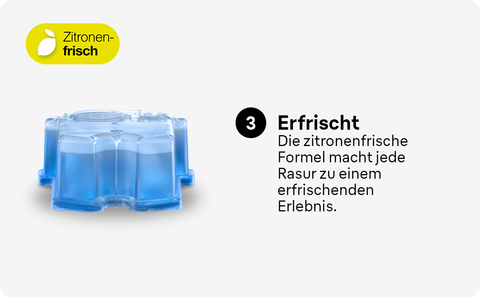 Braun Clean & Renew Reinigungskartuschen Lemon Fresh, Promo-Pack 5