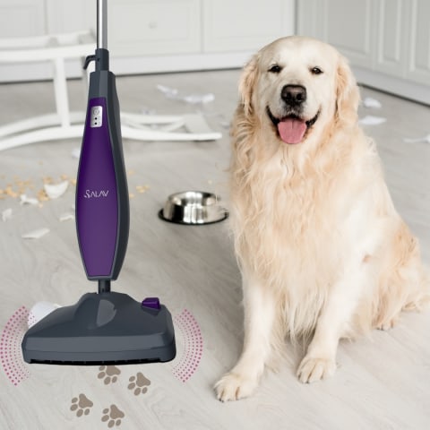 Steam Away Pet Stains and Odors
