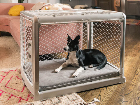 White Revol Dog Crate with a dog inside in a modern livingroom