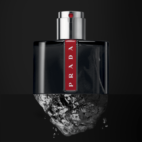 macys prada carbon