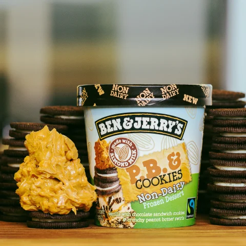 Ben & Jerry's Peanut Butter and Cookies Non Dairy Frozen Dessert
