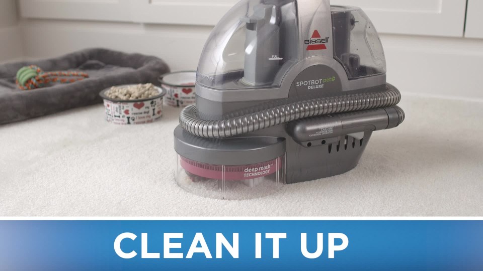 Bissell Pet Oxy Boost Carpet Cleaning 