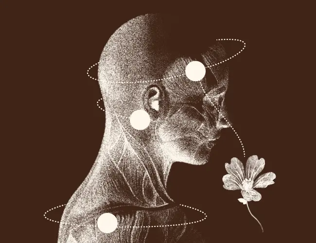Roll it on: Roll onto pulse points to help ground and still.  Breathe it in: Do a Saje Breath to help set the tone for sleep.  Soak it up: Drop into a bath as part of your relaxation routine.