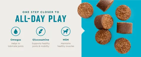 One step closer to all-day play. Omegas helps to lubricate joints. Glucosamine supports healthy joints and mobility. MSM maintains healthy muscles.