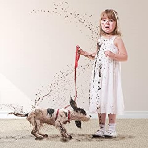 Resolve Pet Specialist Heavy Traffic Foam, Carpet Cleaner, 22oz