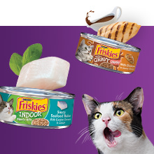 friskies cat food petsmart