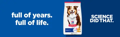 Hill's® Science Diet® 7+ Senior Wet Dog Food - Beef & Barley, 13 oz