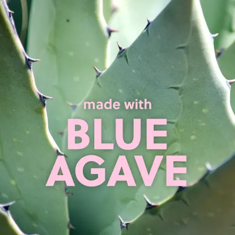 BLUE AGAVE