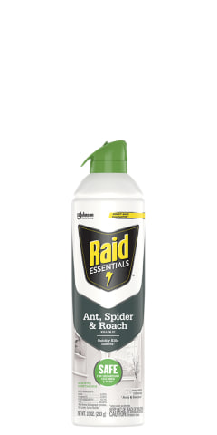 Raid safe for cats best sale