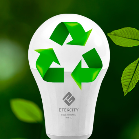 Etekcity Smart LED Cool-to-Warm White Light Bulb 