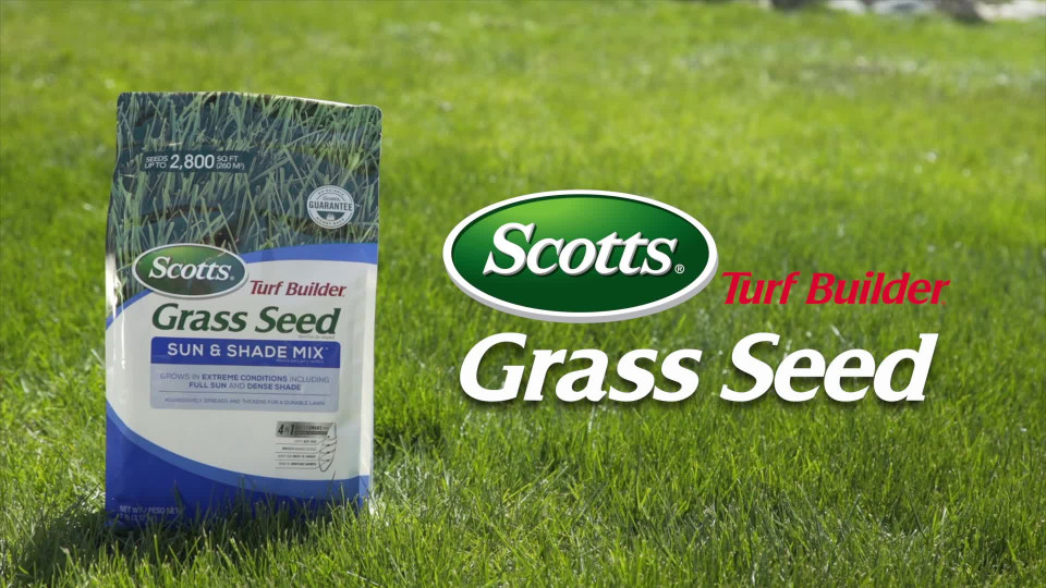 Scotts Turf Builder Grass Seed Sun & Shade Mix, 20 lbs.