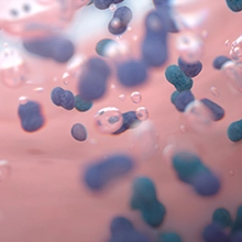 Gros plan sur les bact&#233;ries et la plaque qui sont &#233;limin&#233;es par l’eau enrichie en microbulles. 