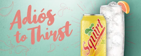 Squirt Zero Sugar Grapefruit Soda Bottle - 2 Liter - vons