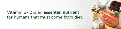 Vitamin B-12 is an essential nutrient