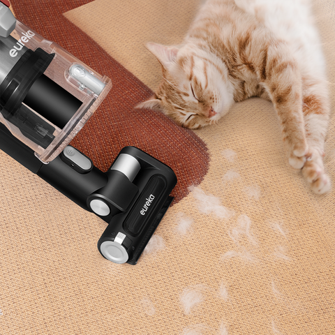 Motorized Pet Tool