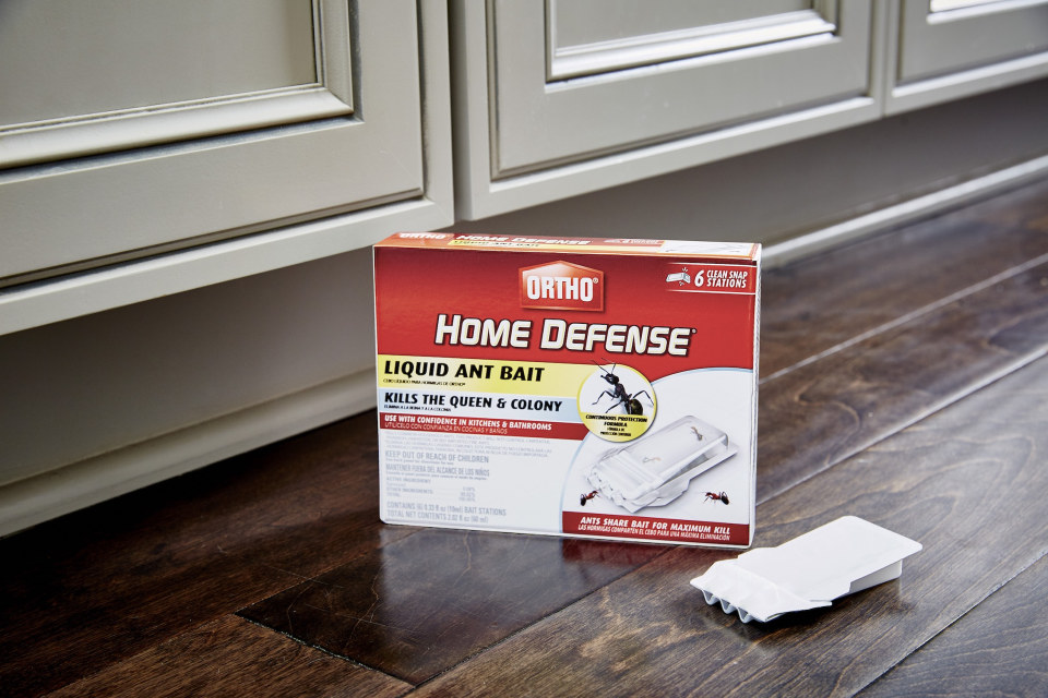 thumbnail video image 2 of Ortho Home Defense Liquid Ant Bait, 2 of 5