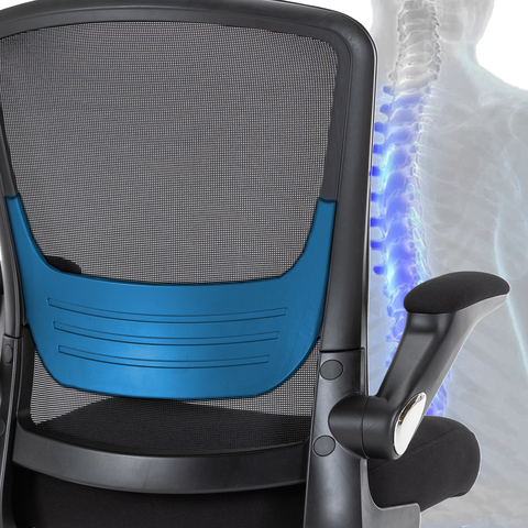 lumbar support