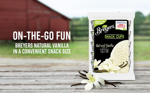Breyers Natural Vanilla Snack Cups Ice Cream, 10 ct - Kroger