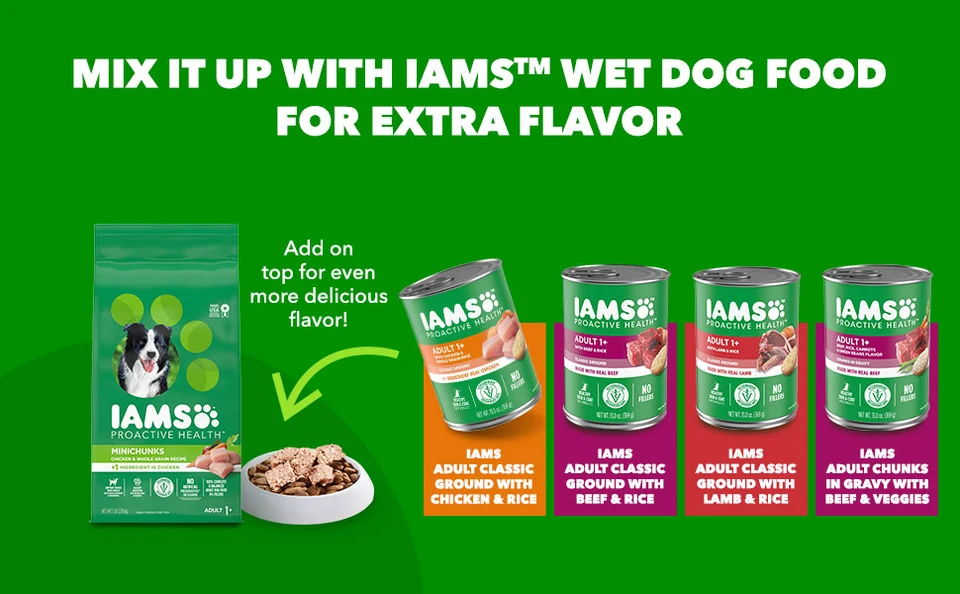 Iams large breed 30 lb best sale