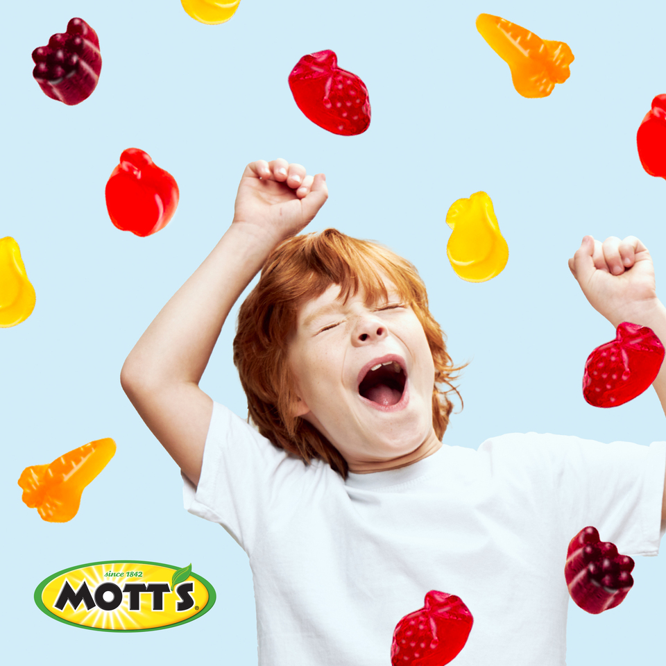 Mott's® Assorted Fruit Flavored Snacks