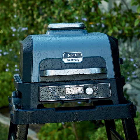 Ninja Woodfire Premium Xl Outdoor Grill & Smoker OG951, Color