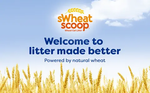 Swheat scoop natural wheat litter sales