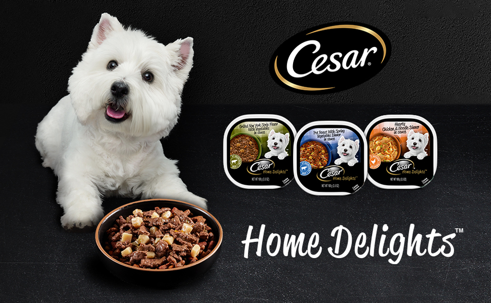 Cesar Home Delights Wet Dog Food Variety Pack 3.5 oz Trays 24