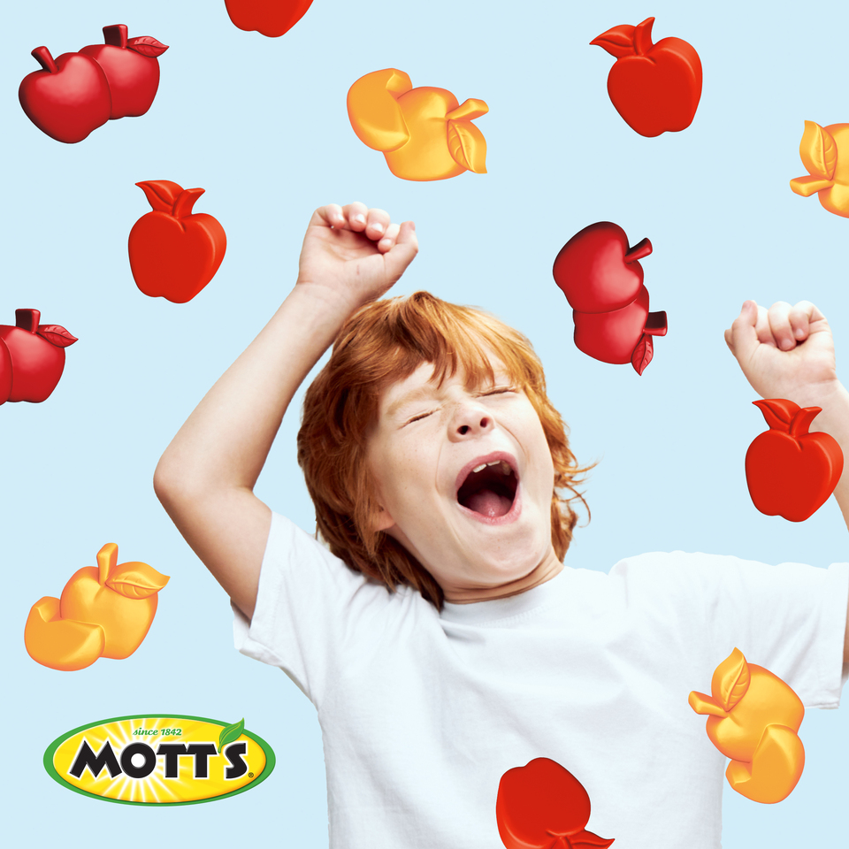 Mott's Fruit Flavored Snacks, Apple Orchard, Gluten Free, 40 ct