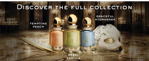 Discover Full Collection