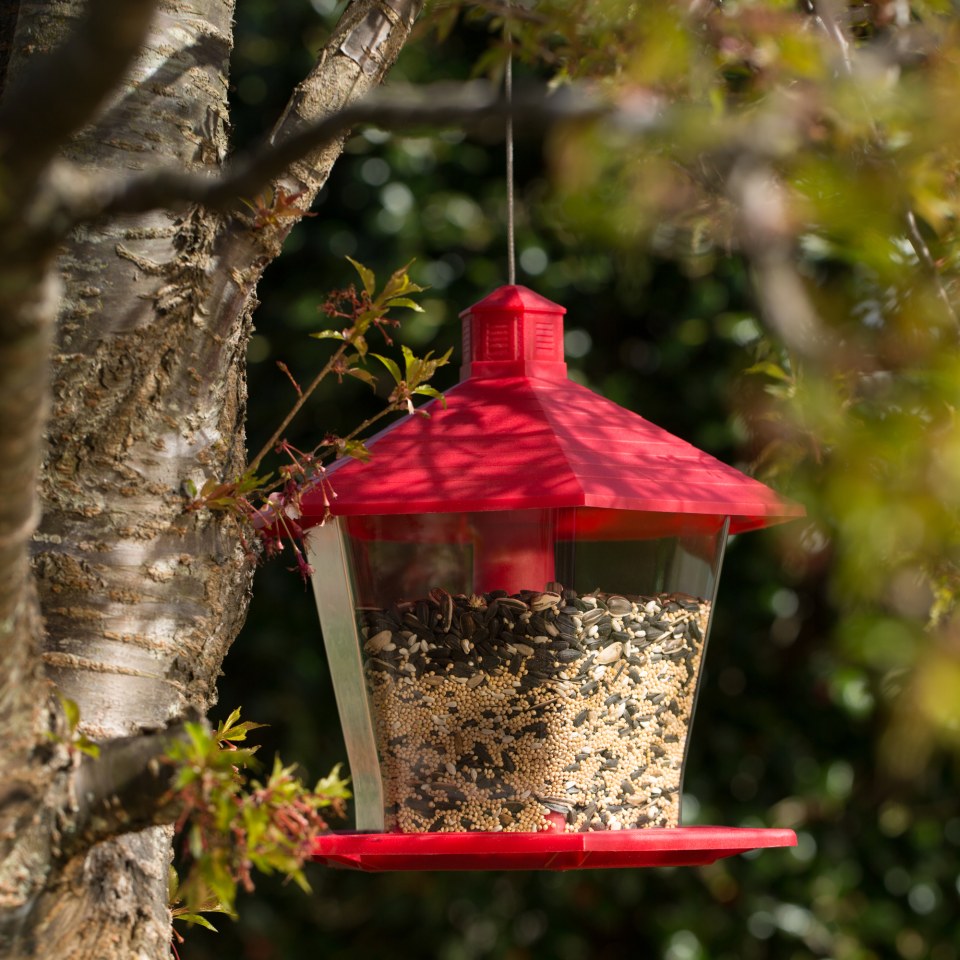 Style Selections Red Clear Plastic Hopper Bird Feeder In The Bird Feeders Department At Lowes 