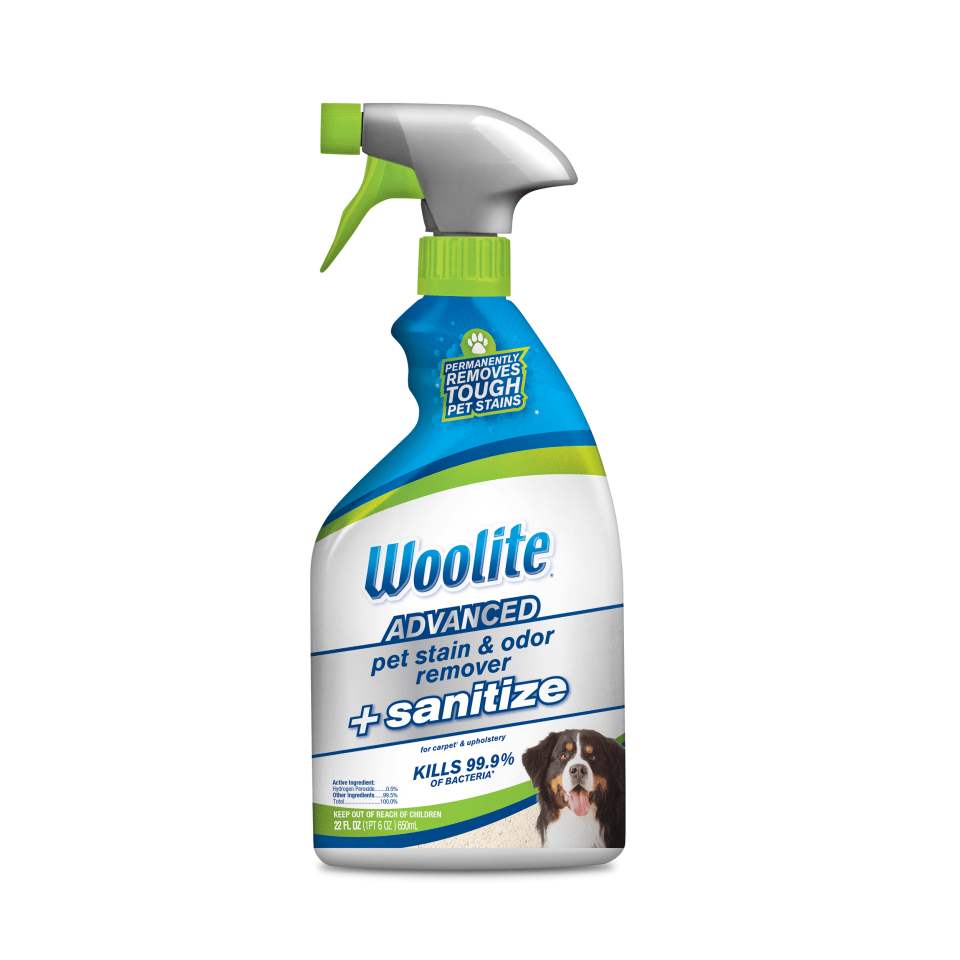 Woolite One Step Foam Carpet Cleaner Pets outlets Dirt Coffee Stains Clean Refresh New