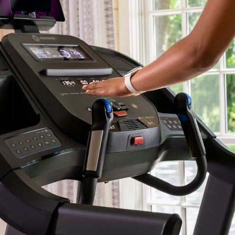 Horizon Fitness 7.0AT Studio Series Treadmill | Dick's