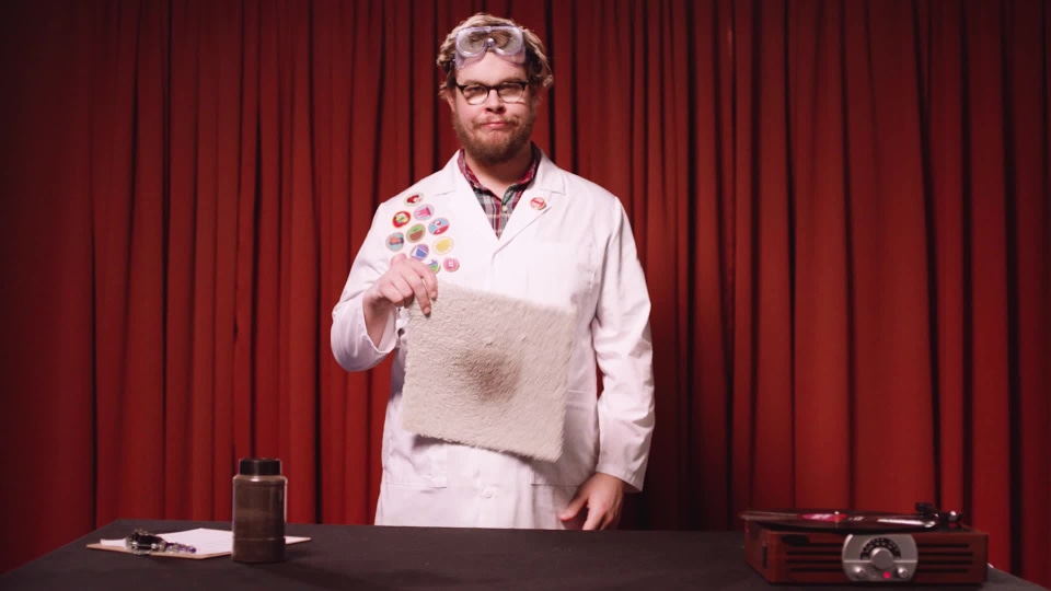 Stainmaster Carpet Pet Stain Remover, 22 fl oz