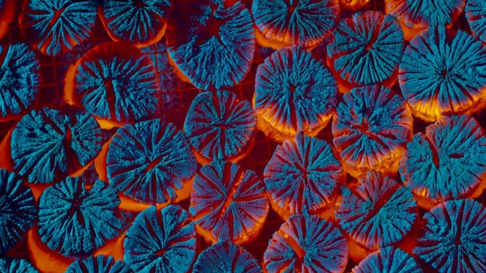 thumbnail video image 2 of Hisense 55-Inch Class A6 Series Dolby Vision HDR 4K UHD Google Smart TV (55A6H), 2 of 15