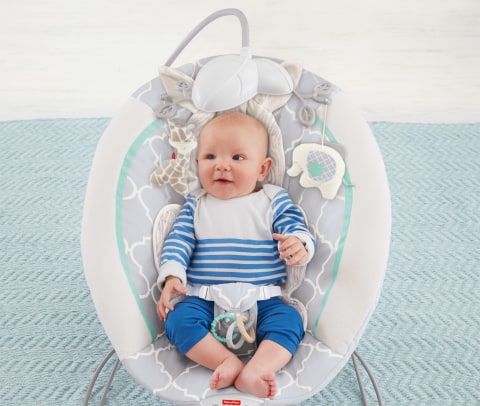 FISHER PRICE CHM79 FISHER PRICE DELUXE BOUNCER Walmart