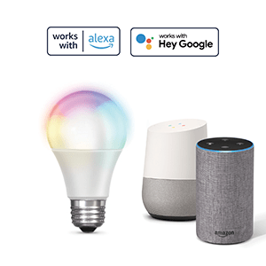 Works with Google Assistant and Alexa