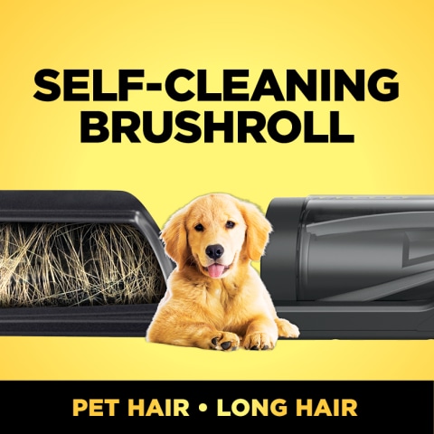 Self-cleaning brushroll