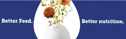 Eggland's Best Classic Extra Large White Eggs | Hy-Vee Aisles