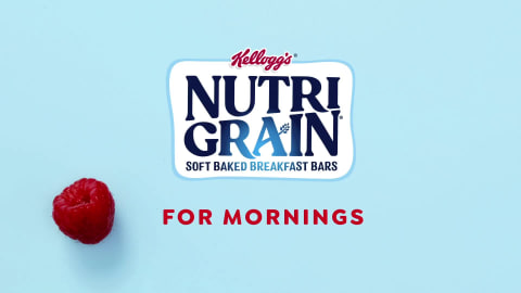 logo nutrigrain