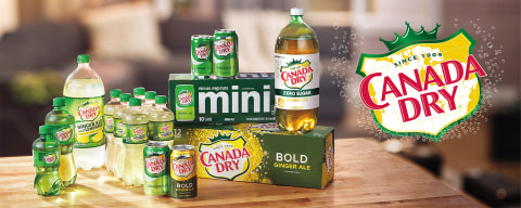 Canada Dry Ginger Winter Variety Pack - 3 Flavors : Cranberry, Regular, Blackberry - 12 pk./12 oz. Cans