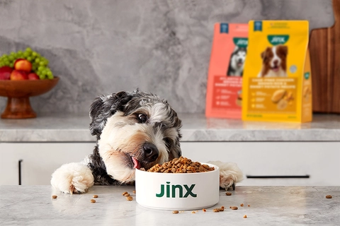 GREAT TASTE that your dog will love