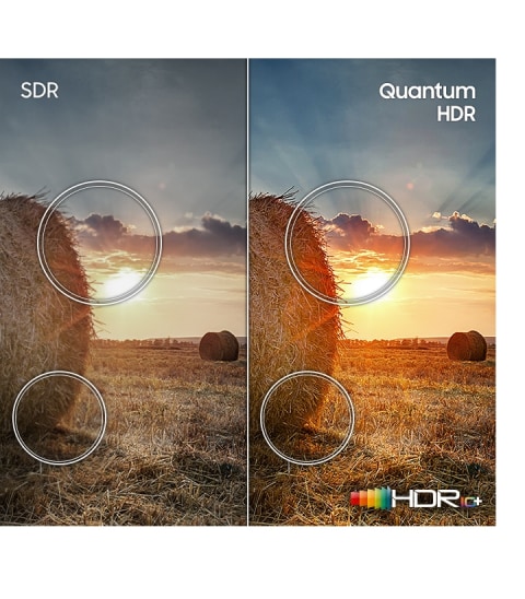 Quantum HDR: Go beyond HD with more dynamic color Quantum HDR: Go beyond HD with more dynamic color